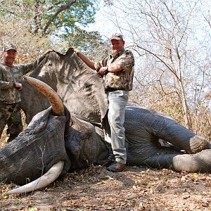 Zambia Bow Hunting Elephant | AfricaHunting.com