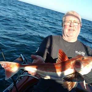 Gurnard South Africa Fishing