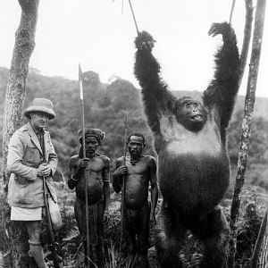 Gorilla Hunt