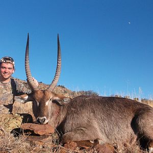 Waterbuck South Africa Hunt