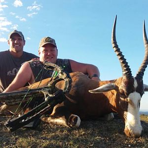 Cross Bow Hunting Blesbok South Africa