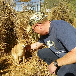 Petting a Caracal South Africa