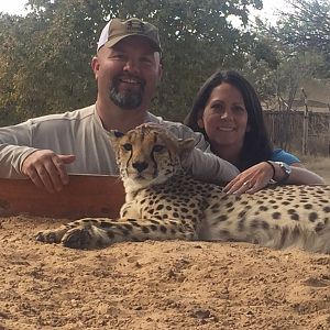 Petting a Cheetah