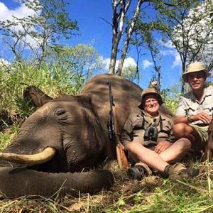 Zimbabwe Hunting Elephant