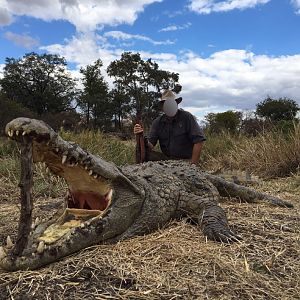 Hunt Crocodile in Matetsi Area Zimbabwe