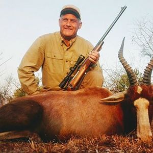 Hunting Blesbok South Africa