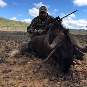 Hunt Black Wildebeest South Africa