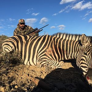 South Africa Burchell's Plain Zebra Hunting