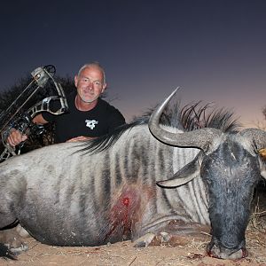 Bow Hunt South Africa Blue Wildebeest
