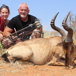 Red Hartebeest South Africa Bow Hunt