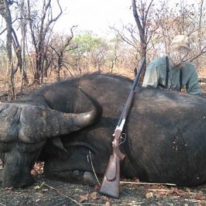 Cape Buffalo Hunt Tanzania