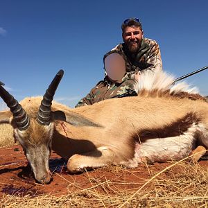 Springbok Hunting South Africa