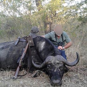 Hunting Buffalo Gonarezhou Safari Area Zimbabwe