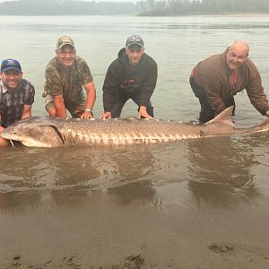 Fishing Sturgeon British Columbia Canada