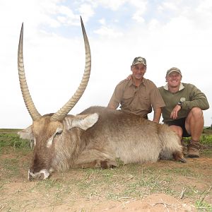 Waterbuck South Africa Hunt