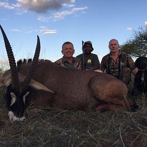 Roan Hunting South Africa