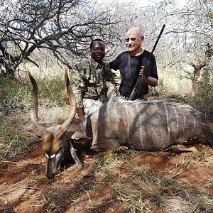 Nyala Hunt South Africa