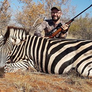 South Africa Burchell's Plain Zebra Hunting