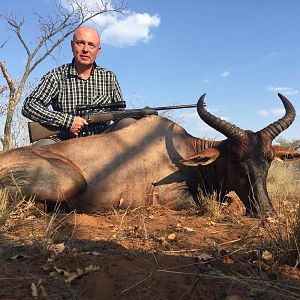 Hunting Tsessebe in South Africa