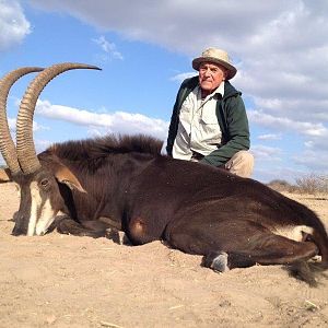 Hunt Sable Antelope South Africa