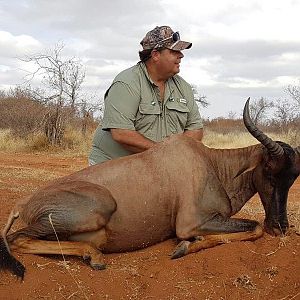 Hunting Tsessebe in South Africa