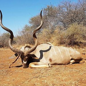 South Africa Kudu Hunting