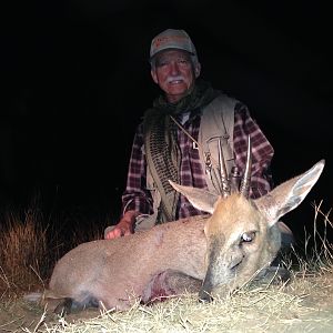 Duiker Hunting South Africa