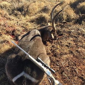 Waterbuck Hunt