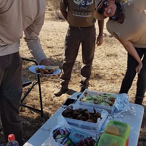 Packed lunch in the field