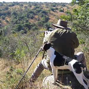 Preparing for shot across a valley to secure an awesome Nyala Bull, Trigger my pooch at the ready