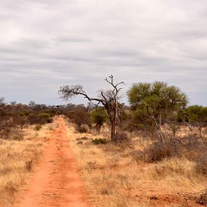 Landscape view