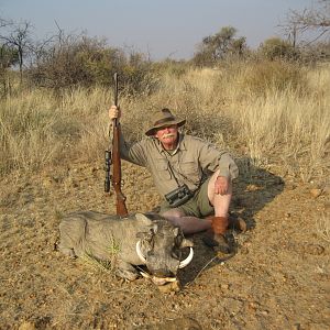 Warthog Namibia Hunt