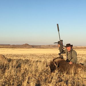 Hunt Black Wildebeest South Africa