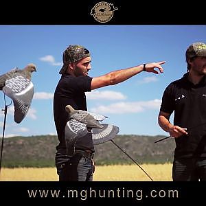 Dove & Pigeon Wingshooting MG Hunting