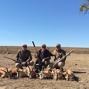 Springbok Hunting South Africa