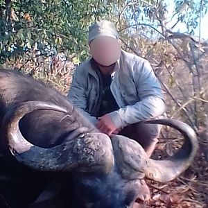 Zimbabwe Cape Buffalo Hunt