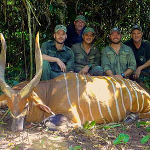 Congo Bongo Hunting