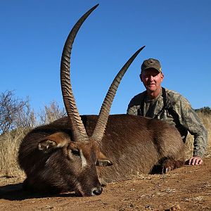 Waterbuck South Africa Hunt