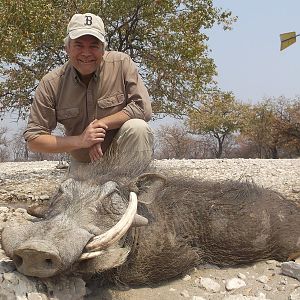 Namibia Warthog Hunt