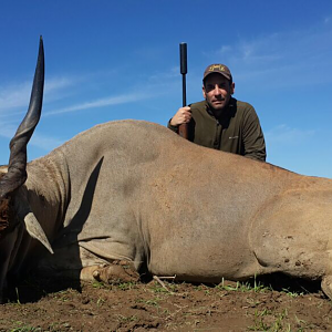 South Africa Hunting Eland