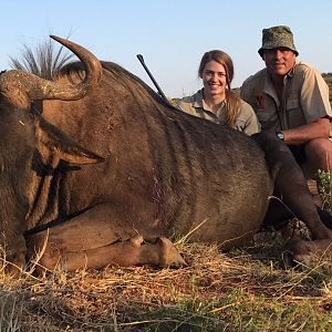 South Africa Blue Wildebeest Hunting