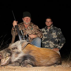 South Africa Bushpig  Hunting