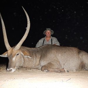 31.5" Inch Waterbuck South Africa Hunt