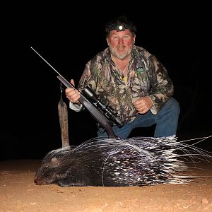 Hunting South Africa African Porcupine