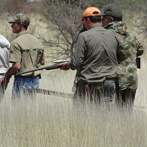 South Africa Hunting Lion