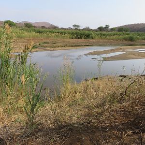 Pongola River South Africa