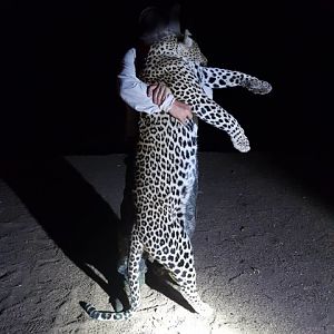 Leopard Hunt Tanzania