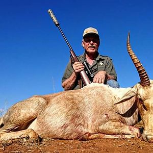 South Africa White Blesbok Hunt