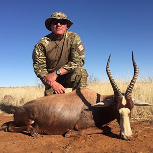 Hunting Blesbok South Africa