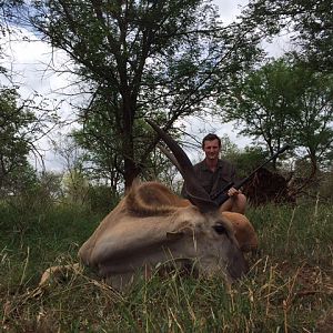 South Africa Hunting Female Eland